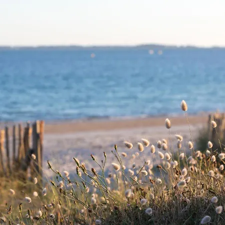 Ocean-2 By Interhome Lejlighed Carnac